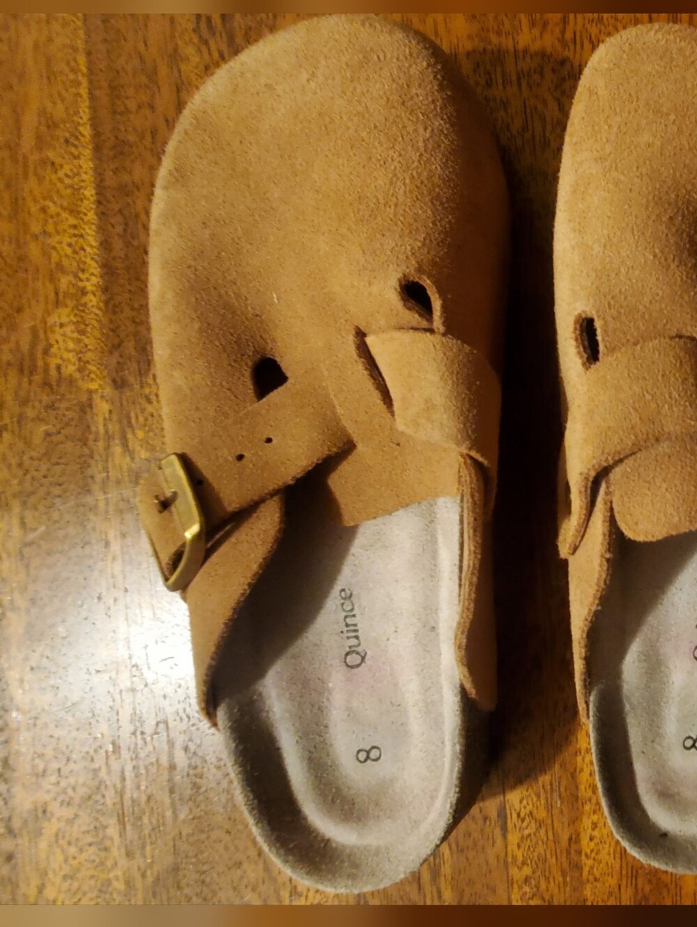 Quince Suede Buckle Clog Sandals in Tan